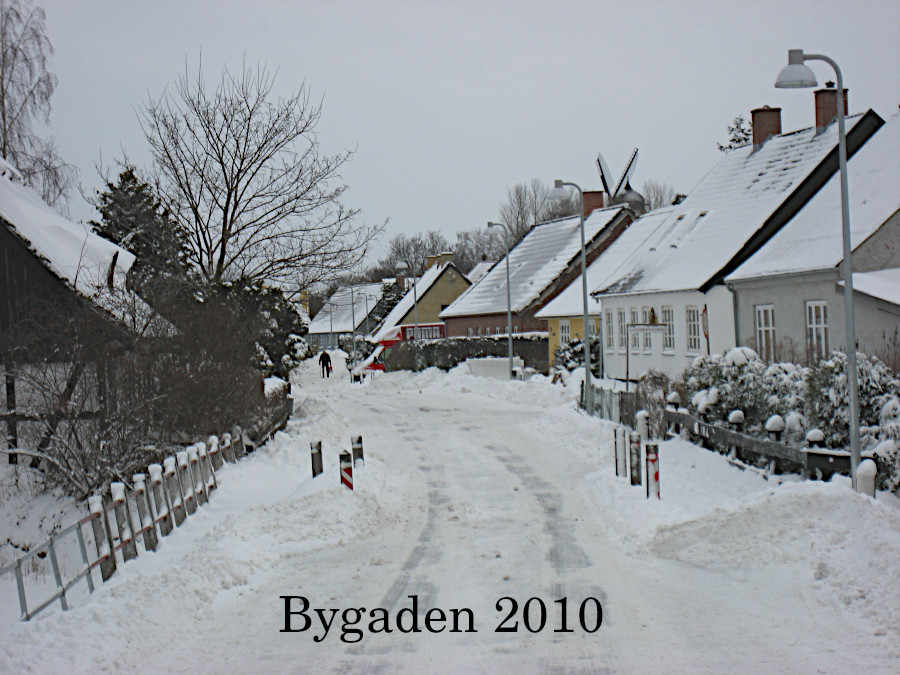 Karrebaek2010